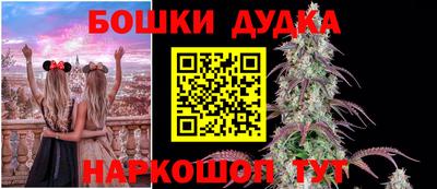 стаф Дубна
