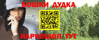 стаф Дубна