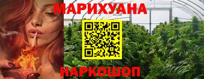 стаф Дубна