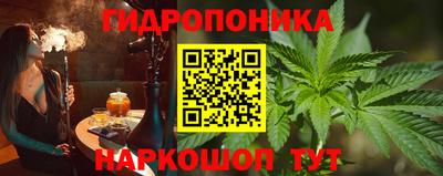стаф Дубна