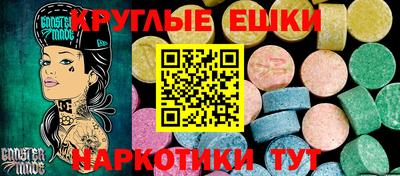 стаф Дубна