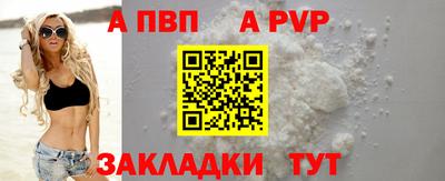стаф Дубна