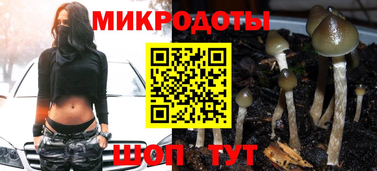 Лосино-Петровский  Псилоцибиновые грибы ЛСД  Вход с VPN 
